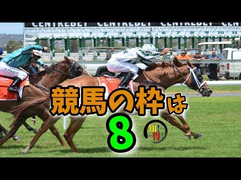 ◆知っ得◆雑学　競馬の枠が八枠に定められている理由