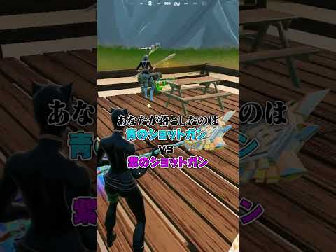 「優しすぎる野良」に出会って惚れるちゃんナギwwww【フォートナイト/Fortnite】