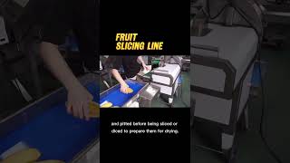 Fruit slicing line for dried fruit production #fruitslicing