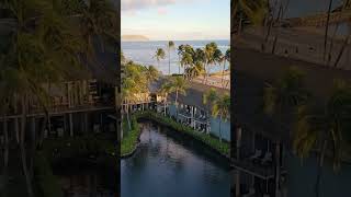 Views from the Kahala Resort 🤙🌊🐬 #hawaiilife #beachvacation #kahalaresort