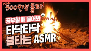 [집중력 높이는 소리] 장작 소리 효과음 백색소음 ASMR ★ 공신 강성태