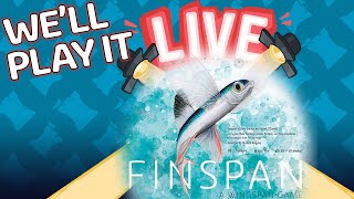 We'll Play it Live - Finspan