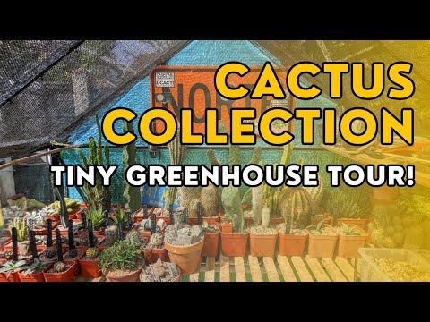 Cactus & succulent collection greenhouse tour