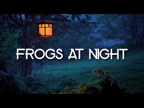 FROGS AT NIGHT | 3 HOURS OF CRICKETS AND TREE FROGS, FOR RELAXATION, MEDITATION, YOGA, STUDY, SLEEP