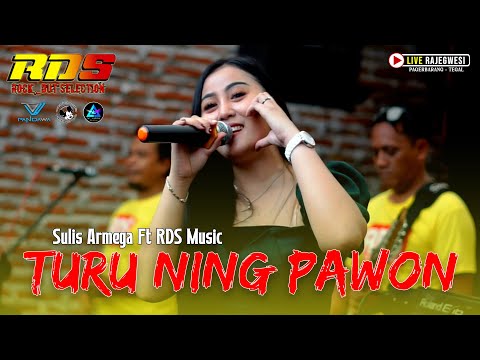 TURU NING PAWON - VOC. SULIS ARMEGA [RDS MUSIK] Live Show Rajegwesi - Pagerbarang - Tegal