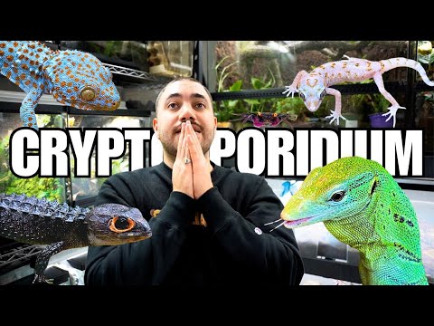 CONTAGIOUS DEADLY DISEASE spread in my REPTILE ROOM | Cryptosporidium in Reptiles