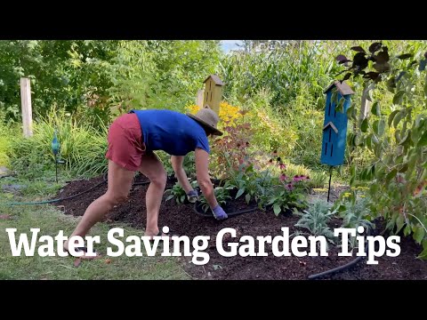 Water Saving Garden Tips