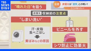 「衣替えは“湿気”との戦い」専門家が伝授する衣替えの極意！収納のポイントは「立てて」「８割」｜TBS NEWS DIG