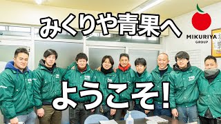 【新卒採用】会社説明『みくりや青果へ、ようこそ』