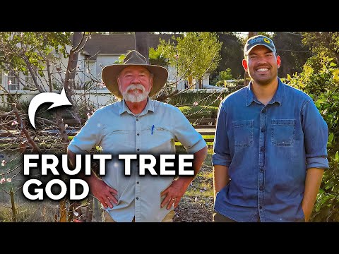 My Fruit Tree Mentor SAVES My Orchard...