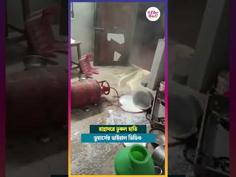 রান্নাঘরের ঢুকে সমস্ত জিনিস লন্ডভন্ড করল হাতি #elephant #duars #elephantattack #viralvideo #viral