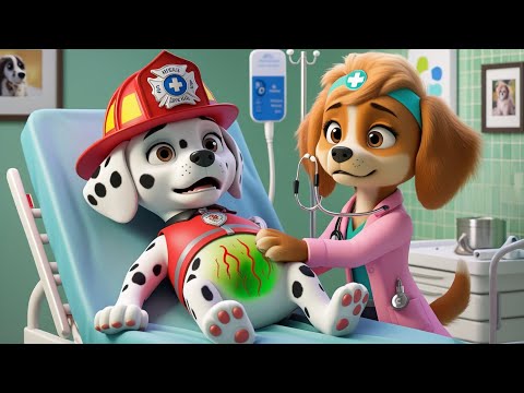 Paw Patrol Ultimate Rescue | Marshall Is in the ER?! What’s the Situation?! So Sad Story | Rainbow 3