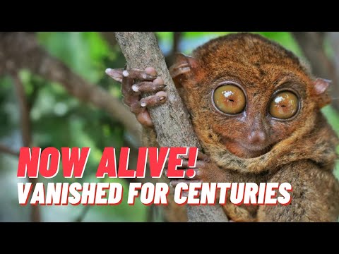 You Won't Believe These Extinct Animals are Back | Lazarus Species