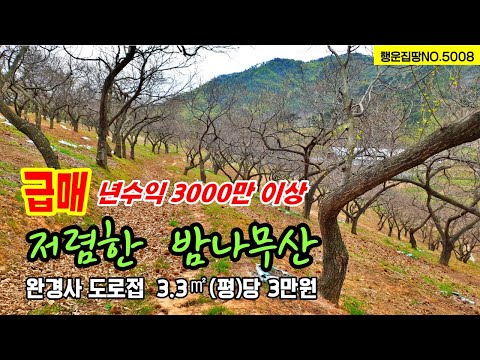 (급매)년 3000만원  수익 나오는 밤나무 산 임야 매매 완경사 전원주택 관광농원 체험영농 가능한 임야 토지 매매 청양부동산~전원주택 농가주택 시골집 체류형쉼터 행운집땅부동산