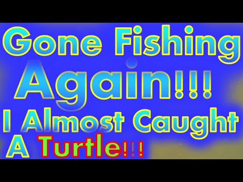 Gone Fishing Again - I Almost Caught A Turtle!