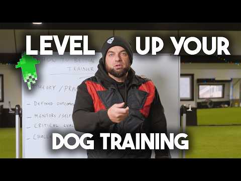 How to become a GOOD Dog Trainer