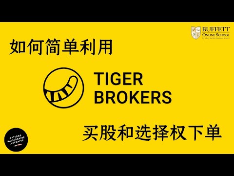 简单利用 Tiger Broker 买股和选择权下单