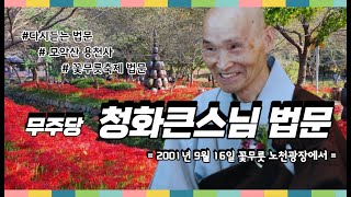 2001년 9월 용천사 꽃무릇축제 청화 큰스님 법문