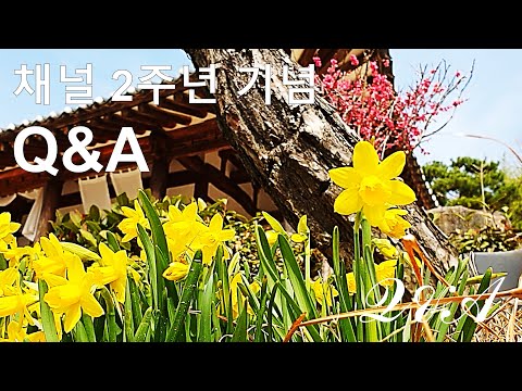 채널 2주년 기념 Q&A｜Epilogue and Vlog #3 Q&A 2