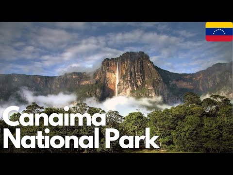 Exploring the Wonders of Canaima National Park