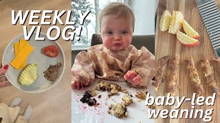 WEEKLY VLOG: first time mom talking all things BABY LED WEANING!