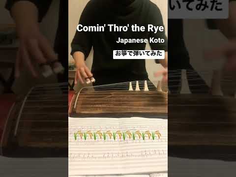 スコットランド民謡『🌾麦畑🌾』お箏(琴)で弾いてみた | Comin' Thro' the Rye - Japanese Koto | #お箏 #和楽器 #琴 #箏