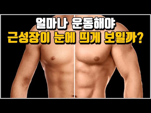 실제 근육이 커지기 시작하는 기간