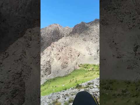 Grasses on mountain