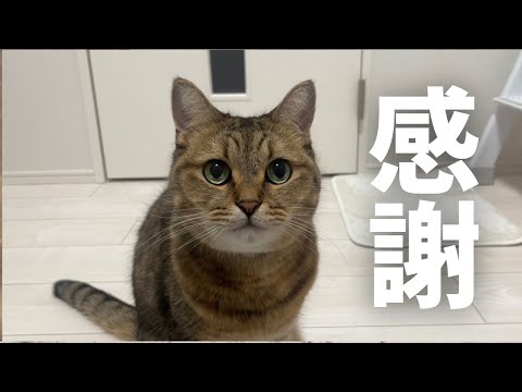 「みにらーに幸あれ」