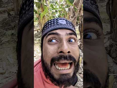 দেশী রোজার/Desi Rojadar | Bangla Funny Video Family#shobujinsan #comedy #funny #subscribe