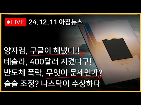 구글, 양자코인 탑승!ㅣ테슬라, 400불 지켜냈다구!!ㅣ반도체 폭락, 코스피 괜찮아...?