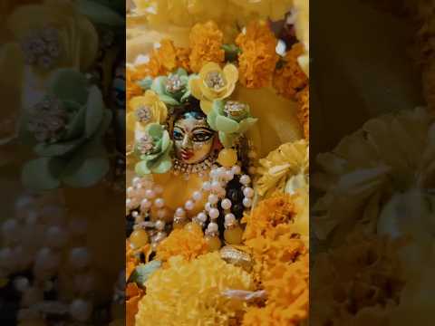 Janmashtmi Celebration ❤🙏 Radhe Radhe 🌼🙏#janmashtami #janamashtmistatus#janamashtmidecoration