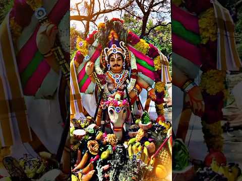 🙏🏻Sangili Poothathar WhatsApp status #பங்குனிஉத்திரம் #god #muruga#sudalai #murugan_whatsapp_status