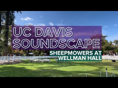 UC Davis Soundscape: Sheepmowers on the East Lawn of Wickson Hall