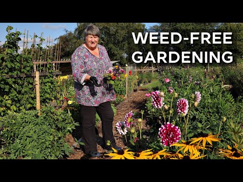 7 Essential Weeding Tools for a Highly Productive Garden