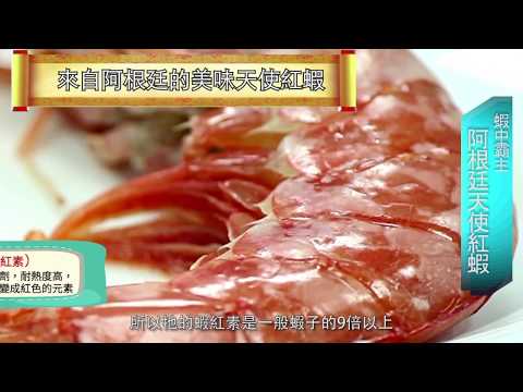 漁季料理小教室-阿根廷天使紅蝦