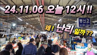 김포 대명항 어시장 11.06 오늘 12시! 사람 바글 바글? 손님 꽉찼다? 대체 여기만 왜! 긴급 공개!korean fish market channel