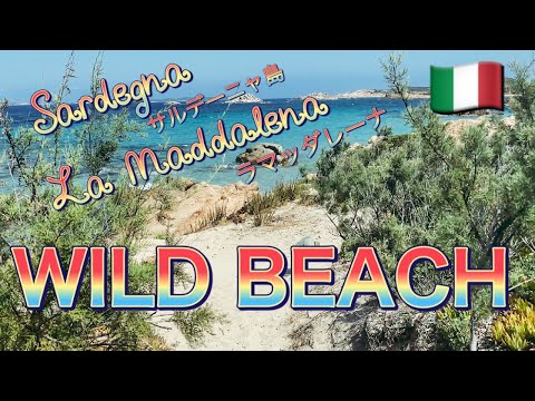 【イタリア】サルデーニャ島ワイルドビーチ！ラッマダレーナ【Travel Italy】Wild beach in Sardinia