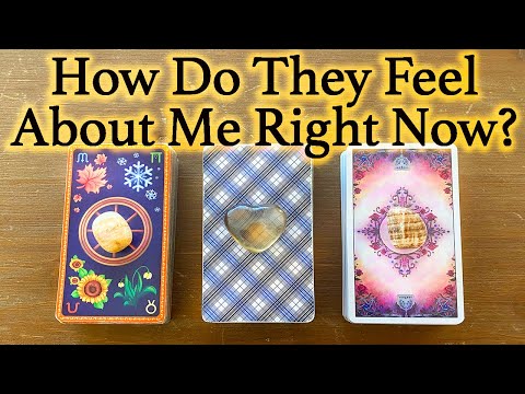 💕WHAT DOES HE/SHE THINK AND FEEL ABOUT ME RIGHT NOW?💕| 🔮Pick A Card🔮 | Love Tarot Reading (Timeless)