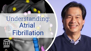 Atrial Fibrillation: Risk Factors, Symptoms, and Treatment | Mass General Brigham