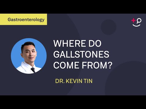 Where do gallstones come from? An explanation of the possible causes