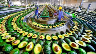 How Millions Tons of Avocados Are Harvested and Process into Bioplastic – Avocado Process Technology