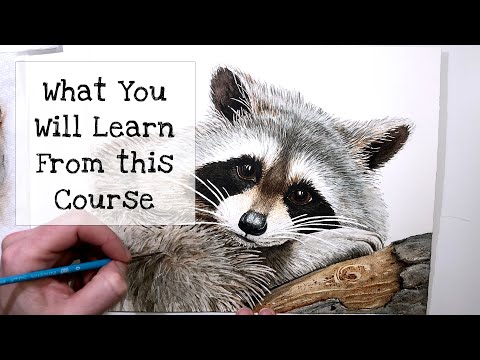 Raccoon Watercolor Course Preview