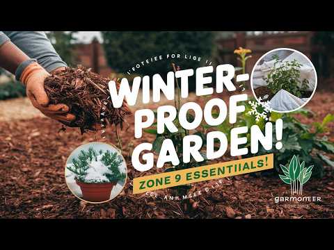 How to Get Your Garden Ready for Winter in Zone 9: Essential Tips for a Thriving Spring