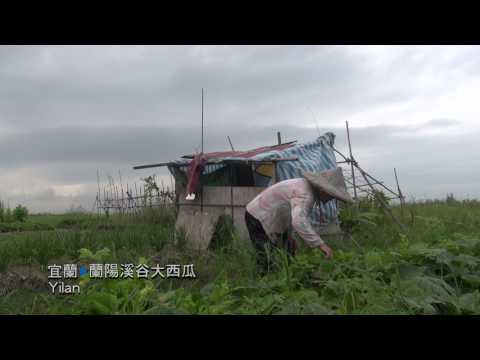 戀上台灣 ♥ Falling in Love with Taiwan—宜蘭農產 Yilan（corn, watermelon, peanut）