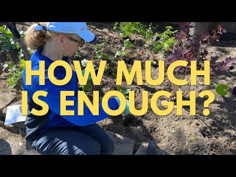 How Much Is Enough? Changing My Approach To Gardening