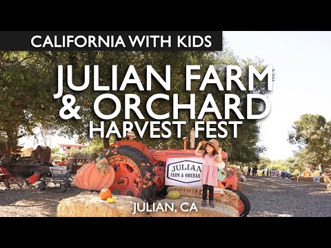 Julian Farm and Orchard Pumpkin Patch 2024