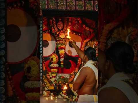 new jagannath Bhajan Status odia Bhajan status #jagannathbhajan #odiabhajan #shortvideo