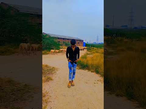 Ki Dil je बनाबल u pagale nu hoi bhojpuri sad status #shortvideo #shortsfeed