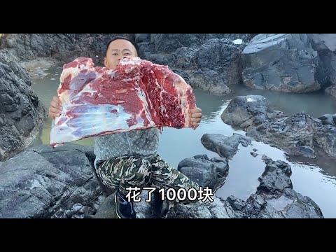 【阿向趕海】 1000元的牛排打窩 石斑魚黑鯛成群聚窩，鯊魚又大又肥 大賣2000元